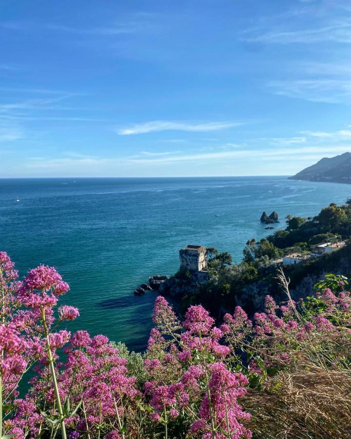 La Casa Degli Angeli Bed & Breakfast Salerno Eksteriør bilde
